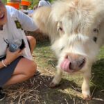 Sarah Jeffery Instagram - 1. caffeinated in OC 2. iconic fits 3. depresso espresso 4. see three 5. mocktails n cocktails with @nick_barasch 6. Disney pickle supremacy 7. 🐮👅