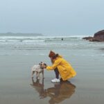 Sarah Jeffery Instagram – dog mom activated 
@pacificsands Pacific Sands Beach Resort