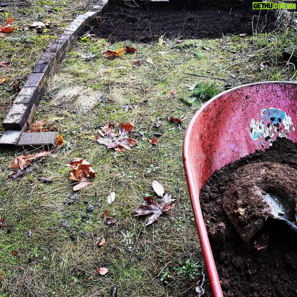 Sarah Wayne Callies Instagram - my berries took over the garden this summer & i needed a new spot for garlic 🧄 #growfood #getdirty 🧄