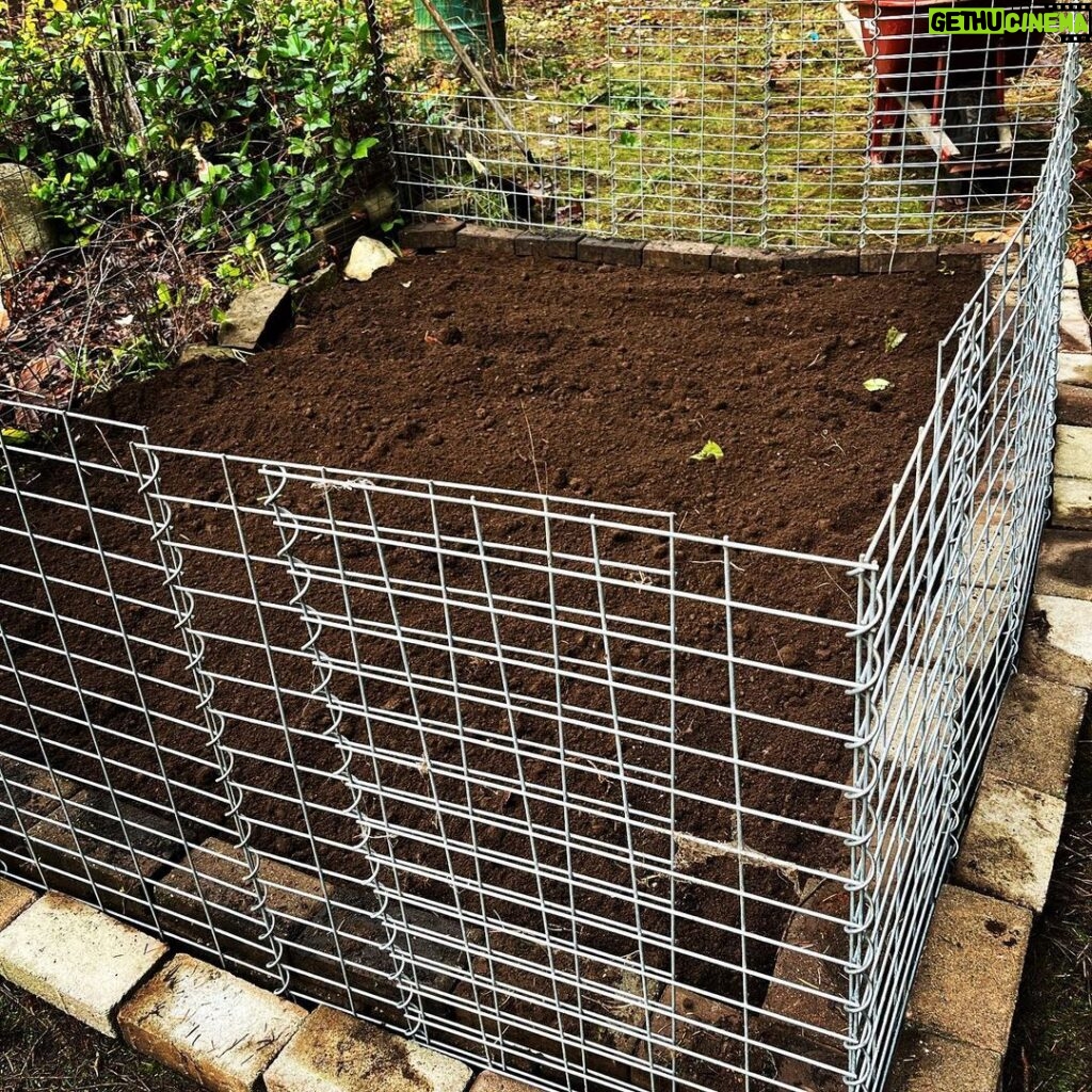 Sarah Wayne Callies Instagram - my berries took over the garden this summer & i needed a new spot for garlic 🧄 #growfood #getdirty 🧄