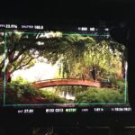 Sarah Wayne Callies Instagram - just found out my ep of #FamilyLaw aired last month 📺 photo dump, anyone? . #womeninfilm