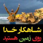 Sasan Keneshlou Instagram - پنجاه نفر تگ،یک ویدیو آموزشی عالی،دایرکت اگر از ویدیو رضایت دارید،ویدیو رو دانلود کرده و در پیج خود قرار دهید،شاید زندگی عده ای تغییر کند،کارما همیشه زندست,ویدیو در کانال موجود است شما شاهکار خداوند روی زمین هستید چند درصدتو گذاشتی برای موفقیت؟چهل درصد،پنجاه درصد،هفتاد درصد،نود درصد اگر بخوای موفق بشی باید صد در صد توانایی ها،مغز و انرژیتو بذاری برای موفقیت ما نمی خوابیم،استراحت معنی ندارد ما زمانی می خوابیم که بیهوش شویم @milionerkhodsakhte @soltanpaydar #money #coach #motivation #cash #cars #khakchery #soltan #paydar #pol #servat #luxury #پول #ثروت #سلطان #پایدار #خاکچری #خودساخته #میلیونرخودساخته #میلیونر #آرامش #لاکچری #خوشبختی #مازراتی #پورشه #ماشین #دانشگاه_پولسازی #ساسان #ساسان_کنشلو #سلطان_پایدار #موفقیت Video by:@studio_paydar ۰۲۱-۸۸۸۸۵۵۳۱ Cyprus