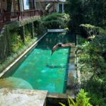 Sascha Burci Instagram - 🇮🇹: PENSO DI AVER AFFITTATO LA VILLA DI TARZAN! 🦧 Non mi era mai capitato di svegliarmi all’alba, in mezzo alla giungla, di mangiare con gli occhi un panorama del genere, di sentire almeno 100 tipi di versi di animali diversi, il cinguettio degli uccellini. Bali è davvero magica e rilassante, il mio corpo nonostante sia qua a registrare contenuti, si sta rigenerando 💆🏻‍♂️ Vi condividerò il nome e tutti i dettagli nel video di youtube che USCIRÀ PRESTO! 👉🏻 Secondo te quanto costa una dormire notte qua? 🇬🇧: I THINK I RENTED TARZAN'S VILLA! 🦧 It had never happened to me to wake up at dawn, in the middle of the jungle, to see such a view, to hear at least 100 different kinds of animal sounds, the chirping of birds. Bali is truly magical and relaxing place, my body despite being here recording content is regenerating 💆🏻‍♂️ I'll share the name and all the details of villas that i rented here in the youtube video COMING OUT SOON! 👉🏻 How much do you think a night's sleep here costs? Bali, Indonesia