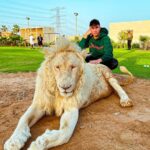 Sascha Burci Instagram - 🇮🇹: Quando si dice: “hai un coraggio da Leone”🦁 La paura è umana, ma combattetela con il coraggio e con un pizzico di follia. 🇬🇧: When they say: “You have the courage of a lion” 🦁 Fear is human, but fight it with courage and a dash of madness. Dubai - دبى
