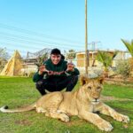 Sascha Burci Instagram - 🇮🇹: Quando si dice: “hai un coraggio da Leone”🦁 La paura è umana, ma combattetela con il coraggio e con un pizzico di follia. 🇬🇧: When they say: “You have the courage of a lion” 🦁 Fear is human, but fight it with courage and a dash of madness. Dubai - دبى