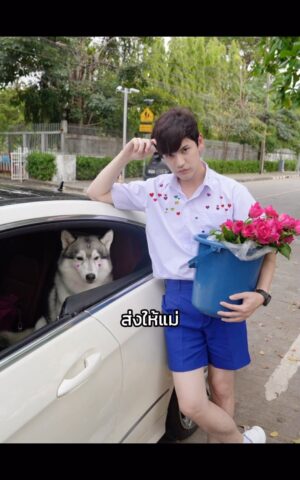 Sattaphong Phiangphor Instagram - รูปไม่คุมโทน แต่อยากได้คนมาคุมใจ