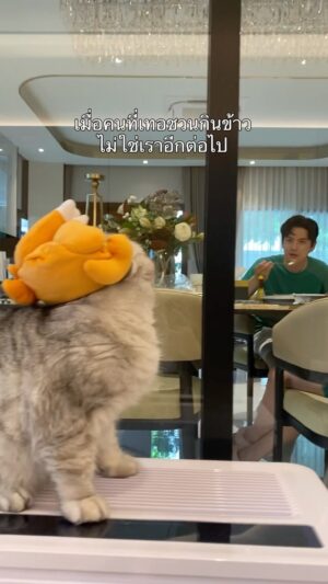 Sattaphong Phiangphor Instagram - เวลาเปลี่ยน คนก็เปลี่ยน😔 @richie911family