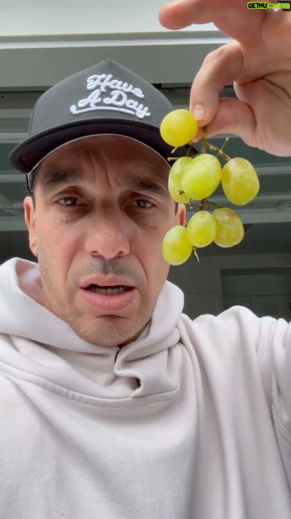 Sebastian Maniscalco Instagram - Why do my grapes look like raisins? #ItAintRight