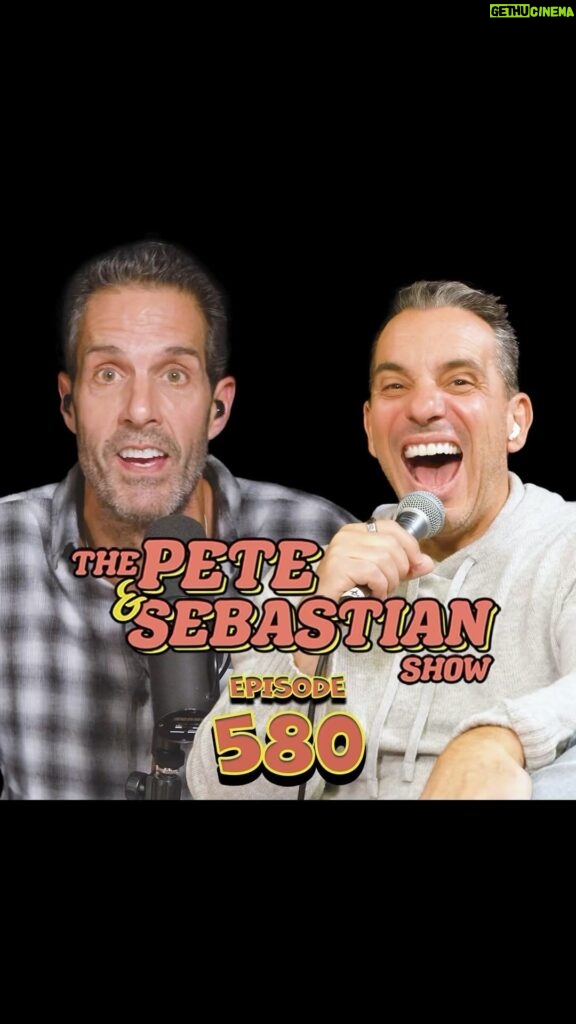 Sebastian Maniscalco Instagram - Pretty sure it was a concern for his own personal safety. Do you tell someone if they have a beehive in their yard? Listen to the new #thepeteandsebastianshow episode at my link in bio