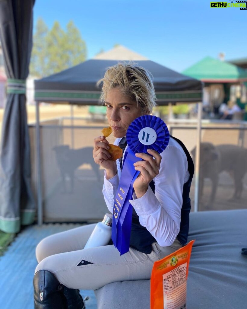 Selma Blair Instagram - A blue ribbon day in a sun scorched august. ☀️ never mind that the class is called “rusty stirrup” 🤨, or that I am still on the kitchen floor with Scout recovering! I faltered yesterday. But forced myself out and on with the show. I won today. Yay. It felt good to keep trying.