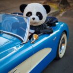 Sergio Daniel Brazón Rodríguez Instagram – Comenten. Sean creativos y ponganle un título a la foto. 😜 ¿A nadie le parece normal que un Panda maneje un Aston Martin? Pues, yo si lo veo muy normal 🤷‍♂️ El Papucho