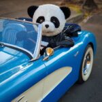 Sergio Daniel Brazón Rodríguez Instagram - Comenten. Sean creativos y ponganle un título a la foto. 😜 ¿A nadie le parece normal que un Panda maneje un Aston Martin? Pues, yo si lo veo muy normal 🤷‍♂️ El Papucho