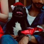 Sergio Malheiros Instagram - Um Feliz Natal cheio de amor, saúde, paz e felicidade pra todos vocês🎄❤️