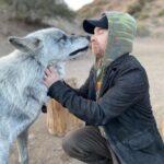 Seth Green Instagram - Reunited with my pack Thanks to my friends @apexprotectionproject who’ve rescued and cared for these truly incredible animals. You can help them fight delisting of wolves as endangered, which has lead to unjustifiably cruel hunting. Check out the link in my stories to see how you can help 🐺❤️❤️