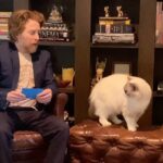 Seth Green Instagram - DNA test results with @art3mis_the_cat