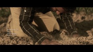 Shadmehr Aghili Instagram - #خوزستان 
من و تو زنده موندیم و به سختی زندگی کردیم
گذشته، حال، آینده، من و تو وارث دردیم
من و تو وارث دردیم
من و تو زنده موندیم و به سختی زندگی کردیم
واسه یه لحظه آرامش ما هر کاری بگی کردیم
ما هر کاری بگی کردیم