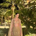 Shanaya Kapoor Instagram - find me under the palms 🌴