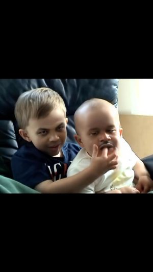 Shaquille O'Neal Instagram - baby chuck and baby shaq fighting again thanks @happycat.1989 love you