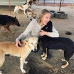 Sherine Reda Instagram - Merry Christmas 🎄 Wishing I could be spending #Christmas with my furry friends at @animal.protection.eg 😍 #PositiveVibes #AnimalShelter #Animals #ChristmasVibes