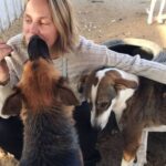 Sherine Reda Instagram - Merry Christmas 🎄 Wishing I could be spending #Christmas with my furry friends at @animal.protection.eg 😍 #PositiveVibes #AnimalShelter #Animals #ChristmasVibes
