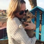 Sherine Reda Instagram - Merry Christmas 🎄 Wishing I could be spending #Christmas with my furry friends at @animal.protection.eg 😍 #PositiveVibes #AnimalShelter #Animals #ChristmasVibes