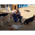 Sherine Reda Instagram – These pictures are from my last visit to @animal.protection.eg , cant express the amount of genuine love I had ♥️. If you can save a homeless dog or a cat always adopt and never buy, show these lovely animals some love, they deserve to be loved 🐾♥️ .
.
#AdoptBaladiDogs
#AdoptDontShop