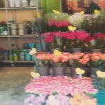 Sherry Adel Instagram - #flowers ❤
