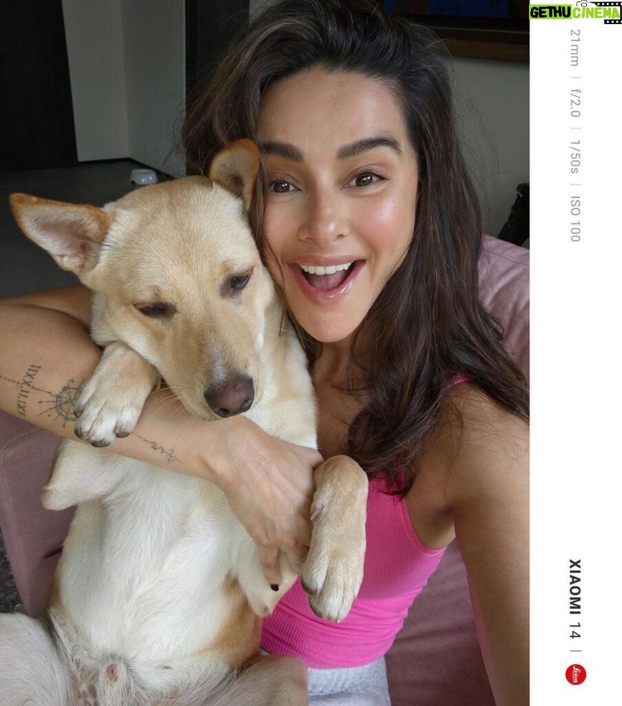 Shibani Dandekar Instagram - Had to bribe baby boy with cheese so that he would take pictures with mamma 🧀 Rumaloo you are growing so quickly and turning the house upside down! We love you ❤️ #RumiAkhtar #Xiaomi14Series #SeeItInNewLight #Xiaomi14 #xiaomi14ultra