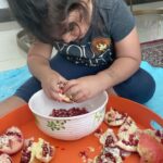 Shila Khodadad Instagram -