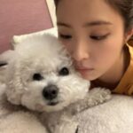 Shin Se-kyung Instagram - 랑이일까 국이일까 (정답:신진국💛 사랑이 닮게 나왔죠..? 사진이..😌)