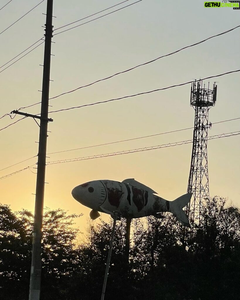 Shingo Katori Instagram - 最近色んなところに行けてるから どこだろう 綺麗だ 魚、、