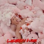 Shirin David Instagram - lieben wir jetzt online 🧸💗 prod by @laas @juhdee @youngmesh @fr.i.o 🎧