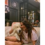 Shivani Narayanan Instagram - My baby boo snowww 🐣🐶 #goldenretriever