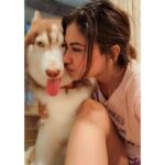 Shivani Narayanan Instagram - Get Vodkafied 🤷‍♀️✅ #vodkathehusky 🐶