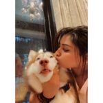 Shivani Narayanan Instagram - Get Vodkafied 🤷‍♀️✅ #vodkathehusky 🐶
