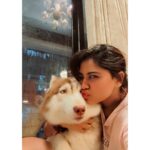 Shivani Narayanan Instagram - Get Vodkafied 🤷‍♀️✅ #vodkathehusky 🐶