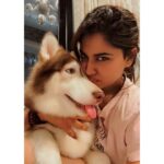 Shivani Narayanan Instagram - Get Vodkafied 🤷‍♀️✅ #vodkathehusky 🐶
