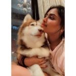Shivani Narayanan Instagram - Get Vodkafied 🤷‍♀️✅ #vodkathehusky 🐶
