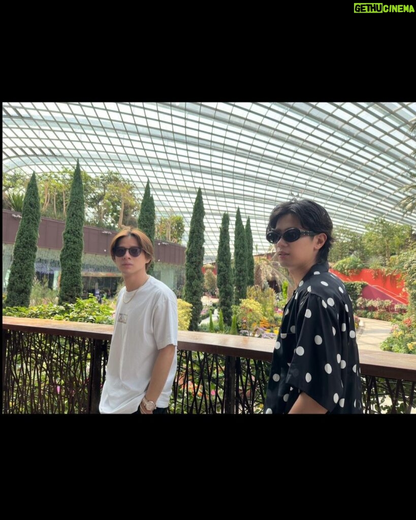 Sho Hirano Instagram - シンガポール🌱 植物園行った🌴