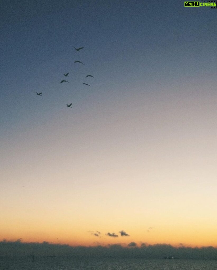 Sho Hirano Instagram - 夏の終わりが寂しくなる前に、、、 #sho_film