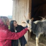 Sina Deinert Instagram - I went to visit @moustache_farmer on his rescue farm today @lebenshof_odenwald !!! And really really enjoyed it haha 🙆🏼‍♀️🙊 thank you for showing us around 🫶🏼💜