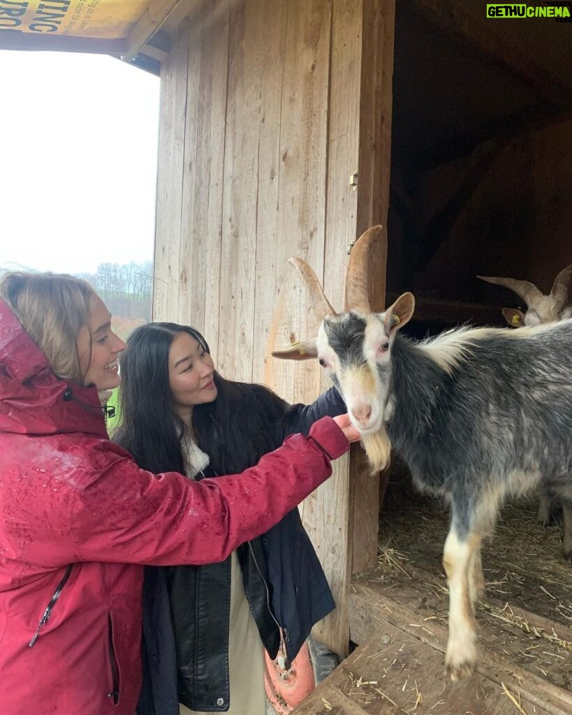 Sina Deinert Instagram - I went to visit @moustache_farmer on his rescue farm today @lebenshof_odenwald !!! And really really enjoyed it haha 🙆🏼‍♀️🙊 thank you for showing us around 🫶🏼💜