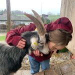 Sina Deinert Instagram - I went to visit @moustache_farmer on his rescue farm today @lebenshof_odenwald !!! And really really enjoyed it haha 🙆🏼‍♀️🙊 thank you for showing us around 🫶🏼💜
