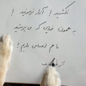 Sina Mehrad Instagram - 🖤🐶...ورق بزنید
تا ما نیز مهربانی و بخشندگی ( این دو صفت پروردگار ) را در رابطه با حیوانات و گیاهان ، آیینه پندار و کردار خود نسازیم ، نمیتوانیم به مهربانی و بخشندگی با آدمیان دست یابیم.
#سگ_کشی#ظالمين#قساوت_قلب