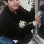 Sina Mehrad Instagram - . ۲۹ سال زندگی...۲۹ سال زندگی در سینما . خیلی دوستون دارم❤️🙏🏼 به امید روزهای خووب ، لبخند مردم ایرانم🇮🇷 Video : @sepehrfattahi @film_news
