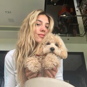 Sistine Rose Stallone Instagram - Quarantine activity: match hair with your dog