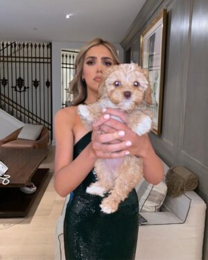 Sistine Rose Stallone Instagram - Puppy appreciation post
