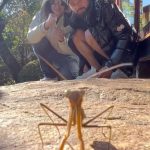 Skrillex Instagram - me and @dg_bladee chillin w a mantis