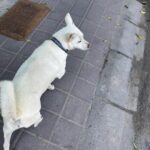 Solar Instagram -
