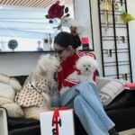 Song Jia Instagram - 기여움 천국 타피 쇼룸 .. ♥️